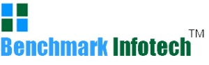Bench Mark Infotech Services IPO logo