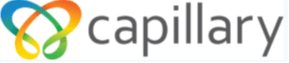 Capillary Technologies India Limited IPO logo